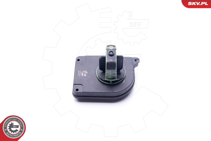 Valve, air control (intake air)